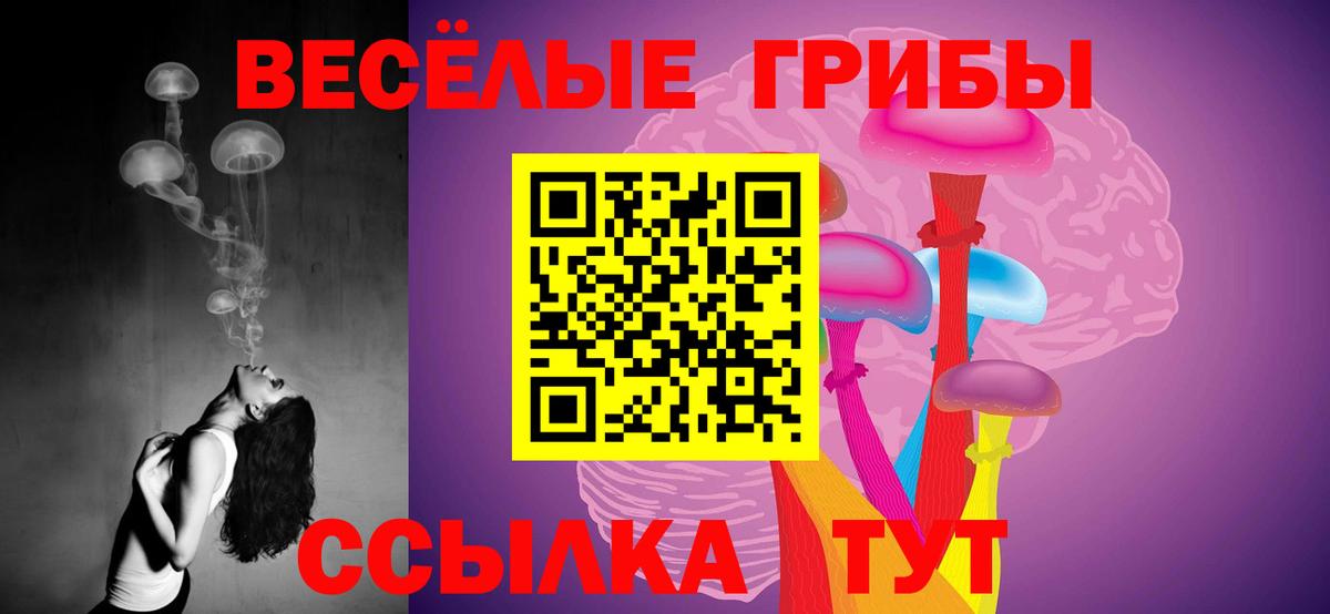 Галлюциногенные грибы Cubensis Россошь