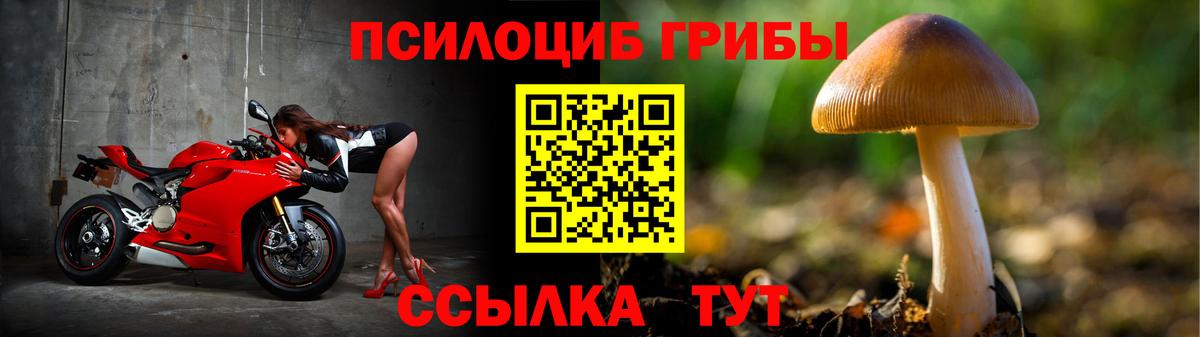 Россошь  Галлюциногенные грибы MAGIC MUSHROOMS  Вход с VPN 